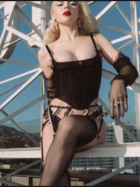 NWT Rosalind Satin and Lace Underwire Open Cup Corset